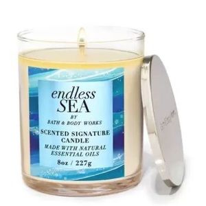 Endless Sea Bath and Body Works Single Wick